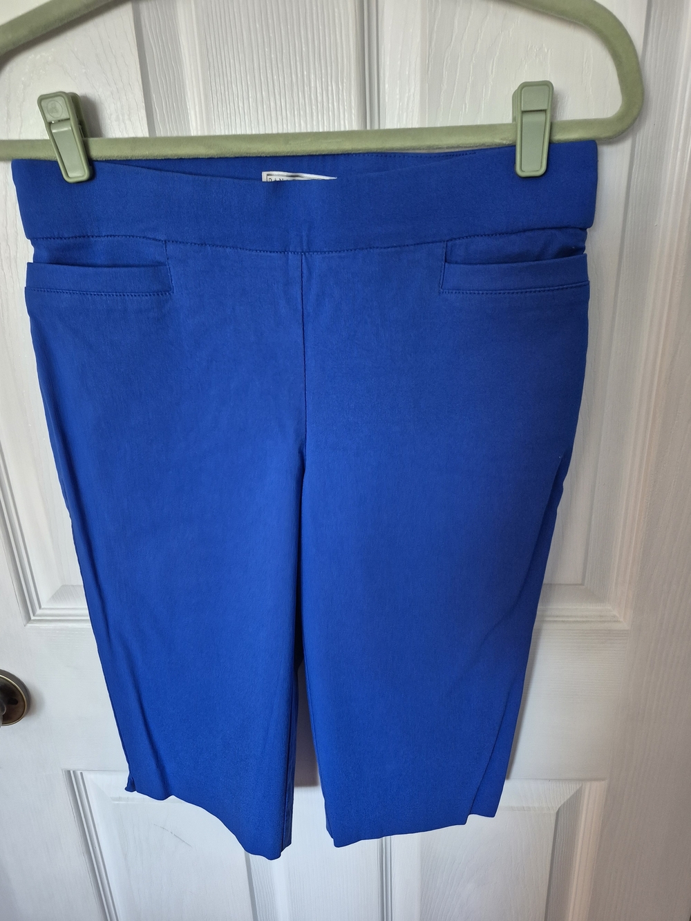 Dana Buchman Royal Blue Pants - Pull-On Knee Length Shorts
